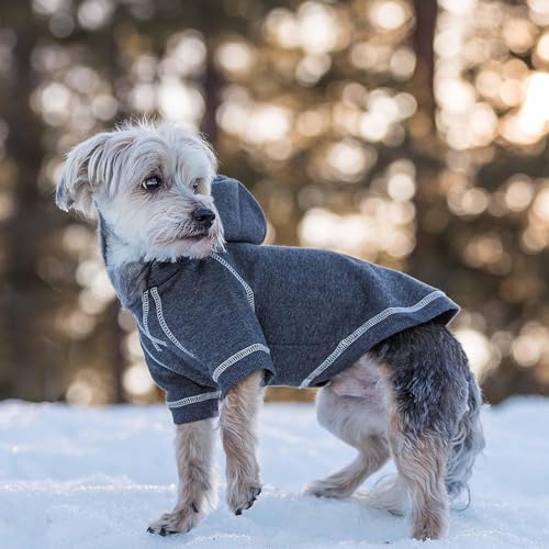 Essentials Soft & Comfy Better Basic Cotton Blend Dog Hoodie Sweatshirt in Charcoal Grey (24 inch (Pack of 1) / Dog Hoodie - Charcoal Grey)