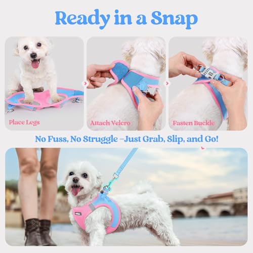 Dog Harness Small Sized and Leash Set (Blue & Light Pink / Xxs (chest: 12.4 - 14.2"))