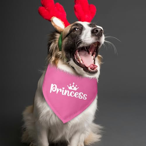 Princess Dog Bandana Dog Birthday Girl Bandana Dogs Pink Funny Gender Reveal Pet Accessories for Pet Lovers Gifts Scarf for Small Medium Dogs & Cats (O)