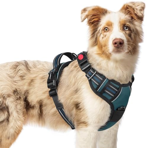 Dog Harness Medium Sized (Medium / Blue Coral)