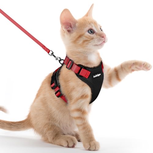 Cat Harness and Leash Set (Xxs / Black & Red)