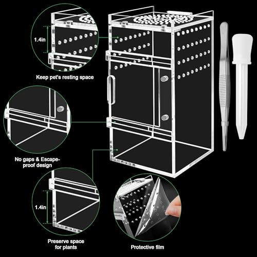 Jumping Spider Enclosure