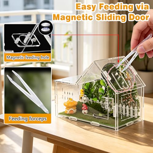 Acrylic Jumping Spider Enclosure Kit 19PCS with Decor (Green - Gothic style)