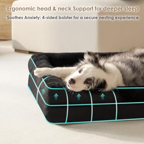 Orthopedic Dog Bed for Medium Dog (Black / 35x22x6.5)