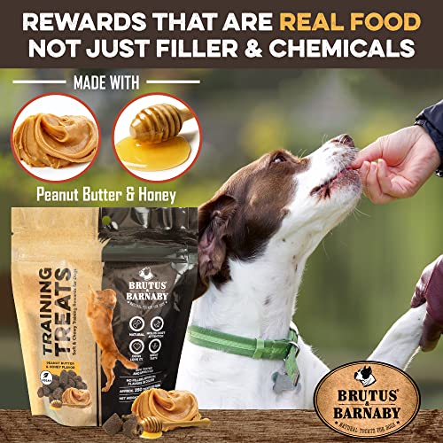 Natural Peanut Butter & Honey Dog Training Treats (1 Pound (Pack of 1))