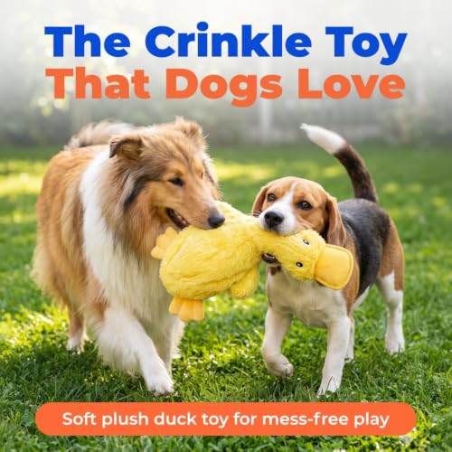 Interactive Squeaky Dog Toy (Crinkle Duck (Yellow) / Large)