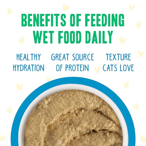 B.F.F. PLAY Best Feline Friend Paté Lovers (3 Ounce (Pack of 12))