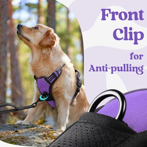 Dog Harness Medium Sized (Medium / Purple)