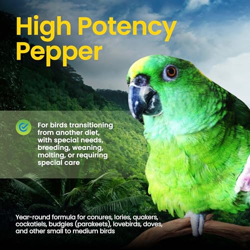 Spicy High Potency Fine (1 Pound (Pack of 1))