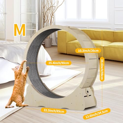 Cat Exercise Wheel for Indoor Cats (M / Natural Wood)
