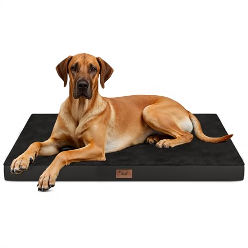 Jumbo Waterproof Orthopedic Dog Bed for Extra Large Dogs (Pure Black / 53.0"L x 36.0"W x 4.0"Th)