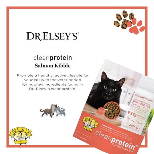 Cleanprotein Salmon Formula Dry Cat Food (2 Pound (Pack of 1))
