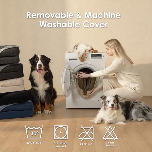 Orthopedic Dog Bed for Medium Dog (Green / 30x20x6.5)