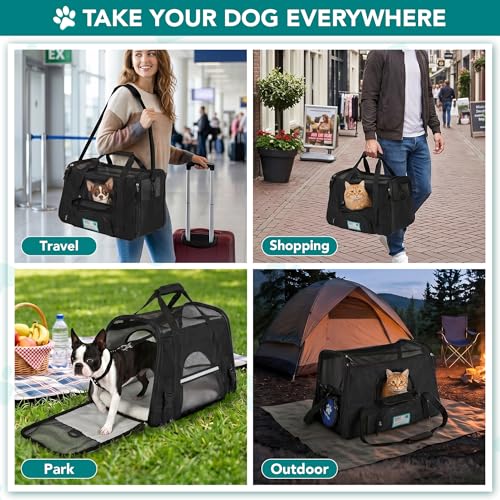 Airline Approved Pet Carrier for Cats & Small Dogs (Black / 17.0"L x 10.2"W x 11.2"H)