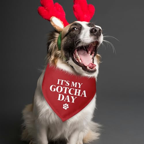 It's My Gotcha Day Dog Bandana Adopt Me Bandanas for Dogs Adoption Gotcha Day Adopted Baby Dog Announcement Adopt Me Pets Scarf for Small Medium Dogs & Cats (W)
