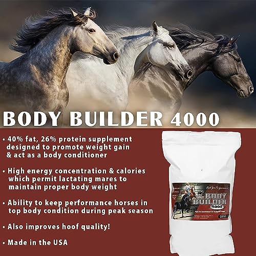 Body Builder 4000 Horse Weight Gain Fat Conditioner (25 lb)