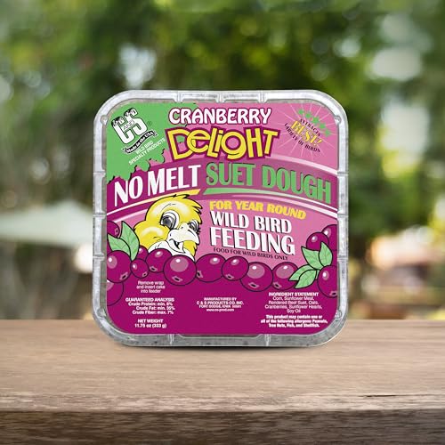 Cranberry Delight No Melt Suet Dough (1.47 Ounce (Pack of 8) / Cranberry, 8 Pack)