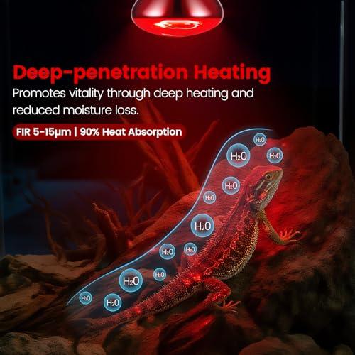 Dual Reptile Lamp Fixture with 100W Daytime Heat & 100W Nighttime Infrared Heat Bulbs (ST2)