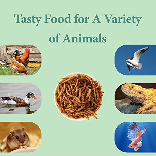 3LB Dried Mealworms for Wild Birds and Chicken
