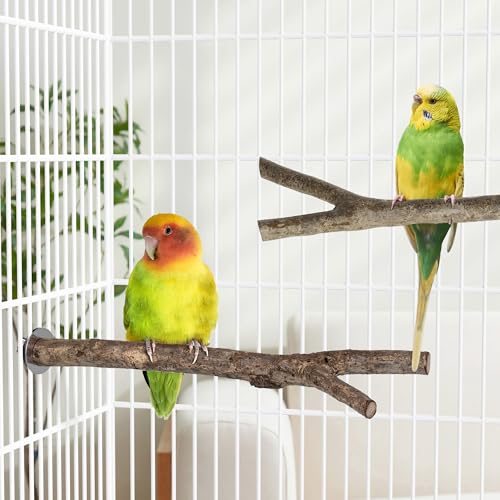 Natural Wooden Perches for Bird Cages (Natural Bark / 2 Pack)