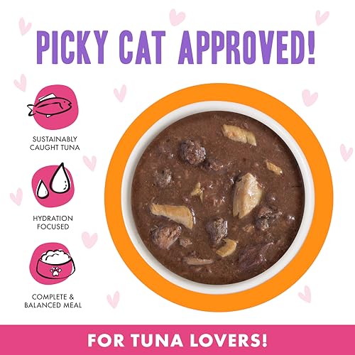 B.F.F. OMG Best Feline Friend Oh My Gravy! (5.5 Ounce (Pack of 8))