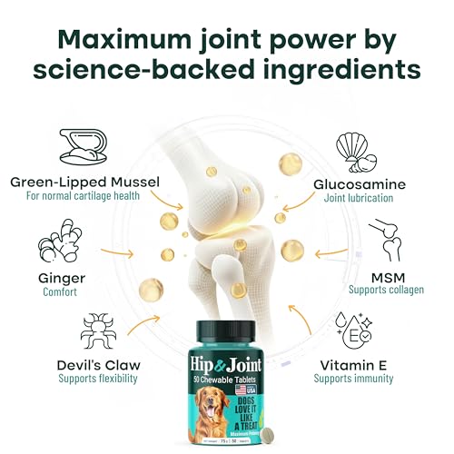 Joint Supplement for Dogs (50 Count)