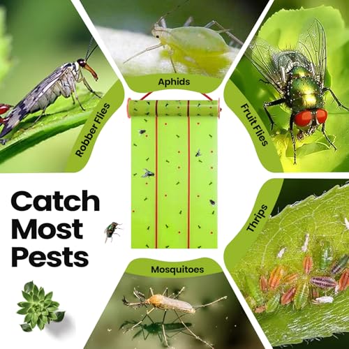 2 Pcs Giant Flypaper Fly Traps (Fluorescent Green)