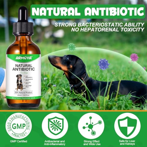 Natural Antibiotics for Dogs