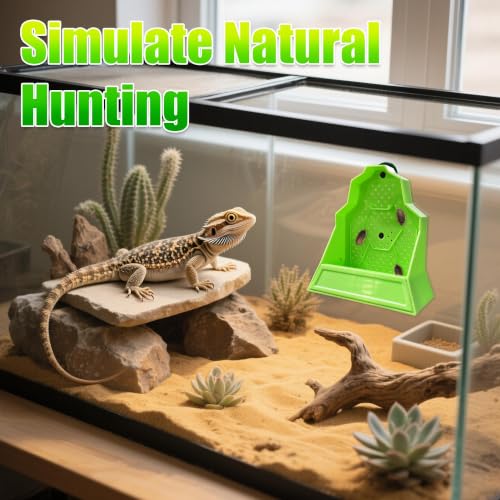Reptile Anti Escape Feeding Bowl (Wall-Mounted Feeding Bowl / Medium)
