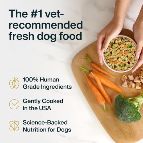 Pantry Fresh Wet Dog Food Complete Meal or Dog Food Topper (12.5 Ounce (Pack of 12))