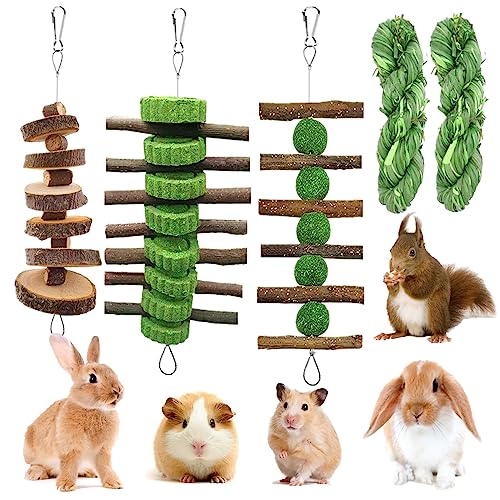 5pcs Hanging Rabbit Chew Toys Hay Ball Apple Stick Wood Pet Snack (String-5pcs)