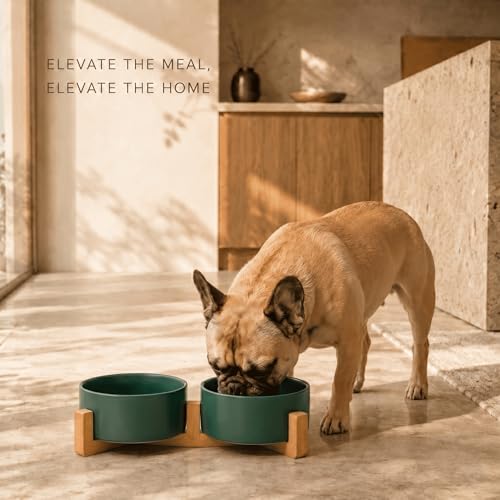 Ceramic Dog and Cat Bowl with Wood Stand Non (3.6 cups / Green × 2)