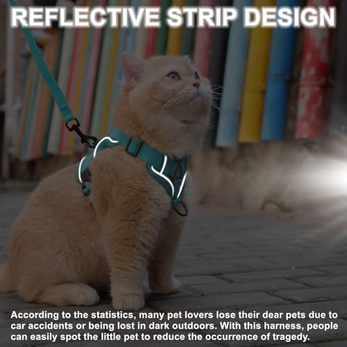 Cat Harness and Leash Set (Teal / L)