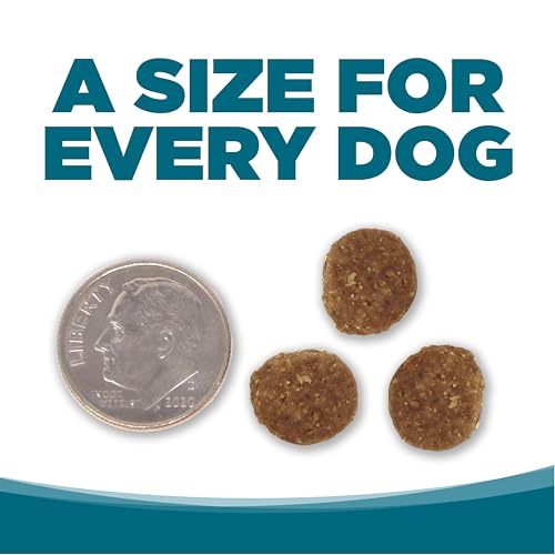 Chicken & Rice Dog Food (4 Pound (Pack of 1))