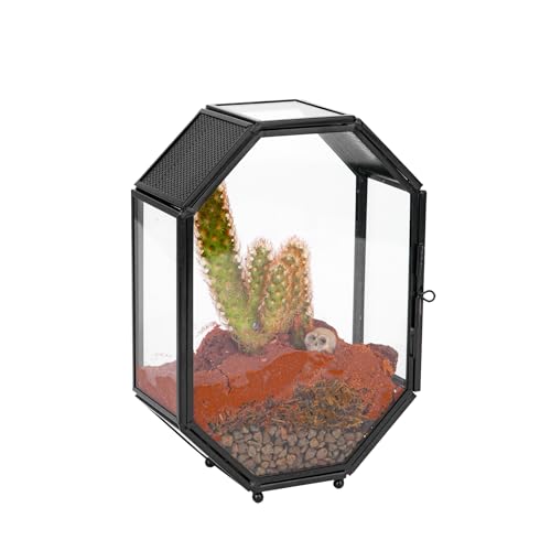 Mini Vented Glass Terrarium with Vent and Door for Jumping Spiders (5 x 2.3 x 7 inches)
