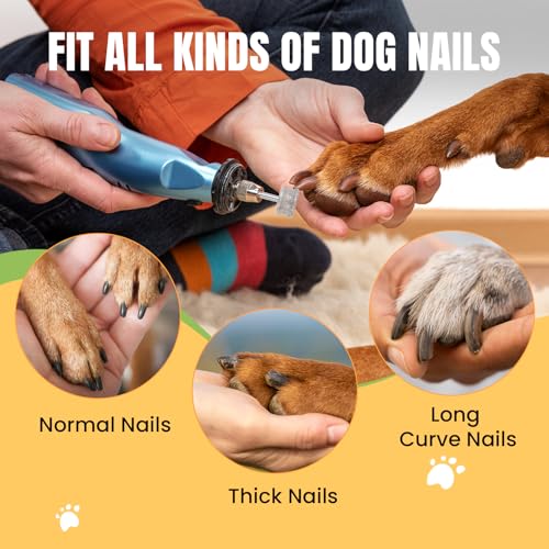 Diamond Dog Nail Grinder Bit (1pcs-80Grit)