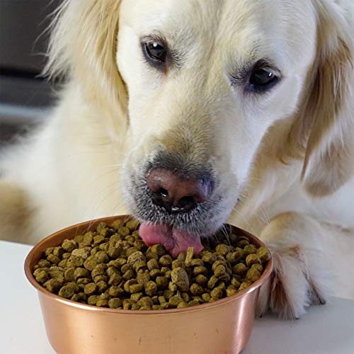 Grain Free Homestead Turkey and Chicken Dog Food 4.5 Pounds (4.5 Pound (Pack of 1))