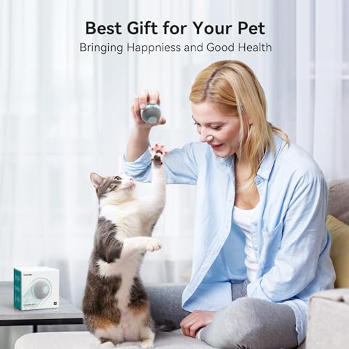 Smart Interactive Cat Toy (Grey)