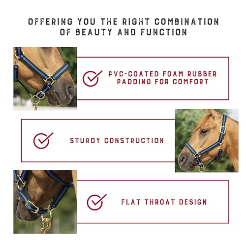 Nylon Horse Halter (Turquoise / 1" Large Horse)