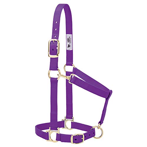 Nylon Horse Halter (Purple / 1" Average Horse)