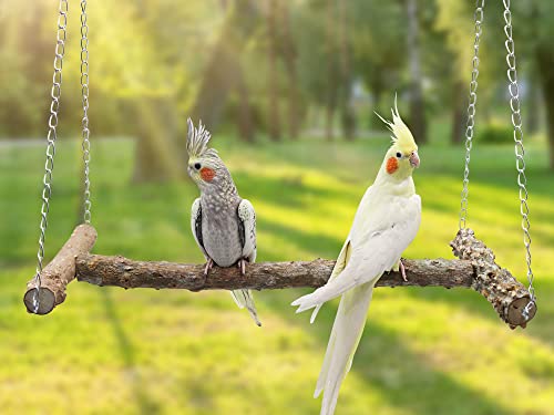 Large Bird Perch Swing Toy