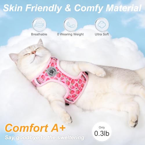 Cat Harness and Leash Set (Strawberries Pink / S (Chest: 11 - 16"))
