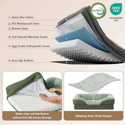 Orthopedic XXL Dog Bed for Large Dog (Green / 52x41x8)
