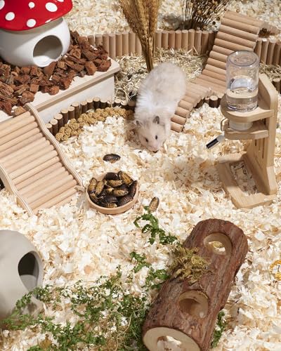Hamster Snack & Treats Toy