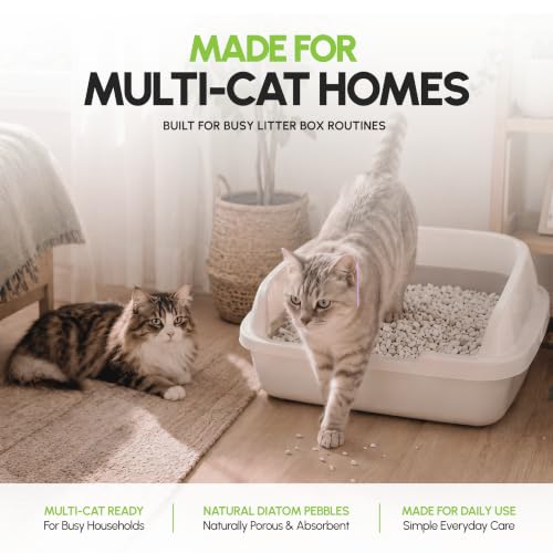 Original All Natural Cat Litter (3 Bags)