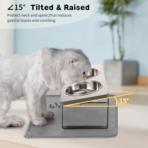 Upgraded Elevated Cat Bowls with Food Mat