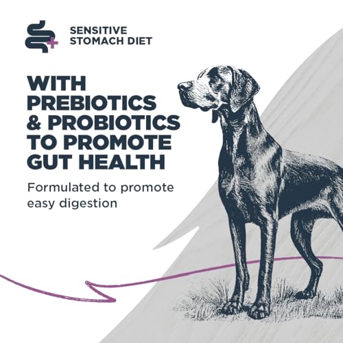 Sensitive Premium Dry Dog Food (Salmon Meal & Brown Rice with Ancient Grains / 10 Pound (Pack of 1))