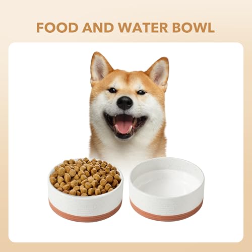Dog Bowls Ceramic (1 Bowl-Vanilla White / 5CUPS)