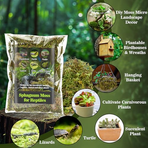 Sphagnum Moss for Reptiles (15.8 Ounces / Green)