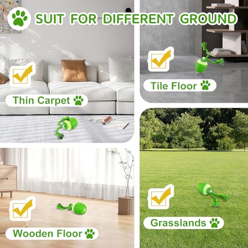 Interactive Dog Toy (Green / Small)